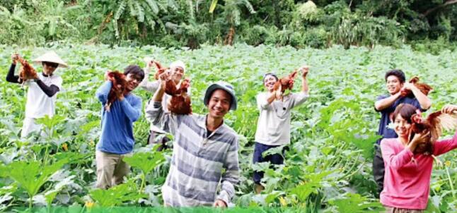 EM原液微生物可以讓水質變得更加環保